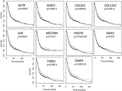 Extracellular Vesicle Molecular Signatures Characterize Metastatic Dynamicity in Ovarian Cancer